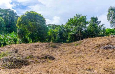 Lote en Las Brisas de Cajón