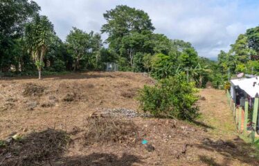 Lote en Las Brisas de Cajón