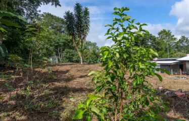 Lote en Las Brisas de Cajón