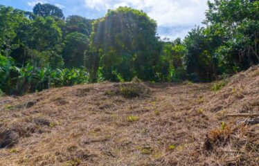 Lote en Las Brisas de Cajón