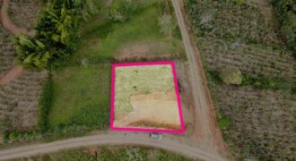 Lote en Berlín de Páramo