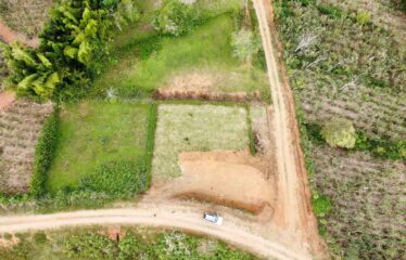 Lote en Berlín de Páramo