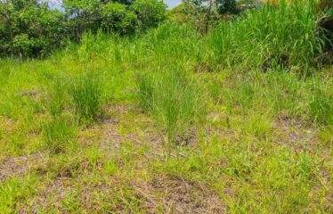 Lote en San Francisco de Cajón