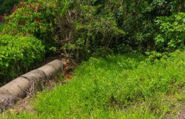 Lote en San Francisco de Cajón