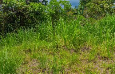 Lote en San Francisco de Cajón