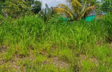 Lote en San Francisco de Cajón