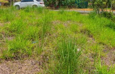 Lote en San Francisco de Cajón