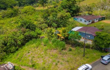 Lote en San Francisco de Cajón