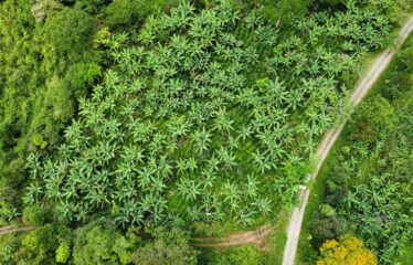 Lote en Fila Guadalupe de Rivas
