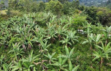 Lote en Fila Guadalupe de Rivas