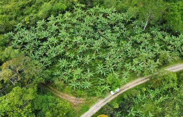 Lote en Fila Guadalupe de Rivas