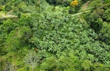 Lote en Fila Guadalupe de Rivas
