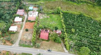 Lote en Las Mesas de Pejibaye