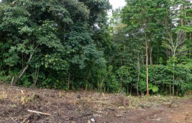 Lote en La Bonita de Rivas