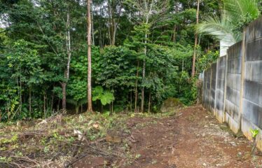 Lote en La Bonita de Rivas