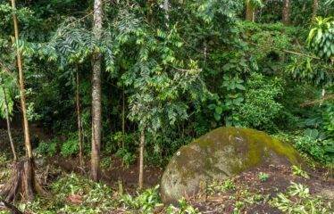 Lote en La Bonita de Rivas