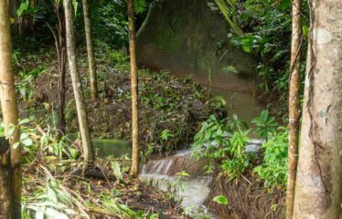 Lote en La Bonita de Rivas