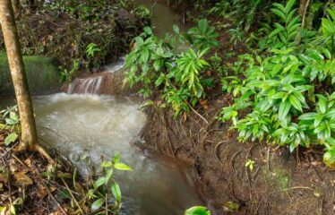 Lote en La Bonita de Rivas