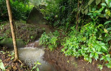 Lote en La Bonita de Rivas