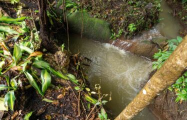 Lote en La Bonita de Rivas