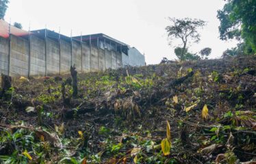 Lote en La Bonita de Rivas