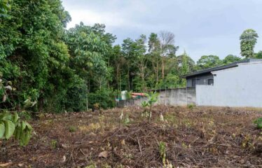 Lote en La Bonita de Rivas