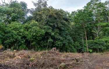 Lote en La Bonita de Rivas