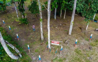 Lote en General Viejo