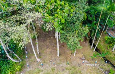 Lote en General Viejo