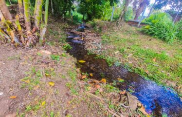 Lote en General Viejo