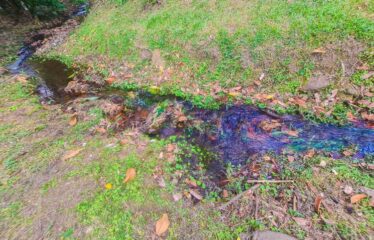 Lote en General Viejo