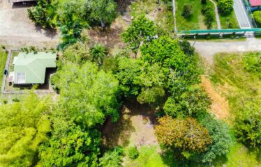 Lote en General Viejo