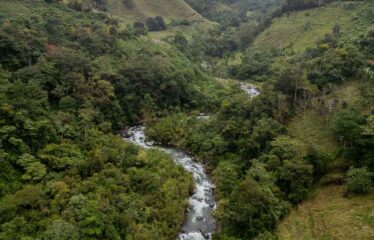 Finca en Pueblo Nuevo de Rivas