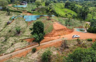 Lote en Trinidad de Pejibaye