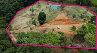 Lote en Trinidad de Pejibaye