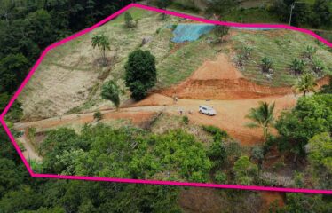 Lote en Trinidad de Pejibaye