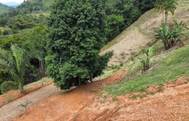 Lote en Trinidad de Pejibaye