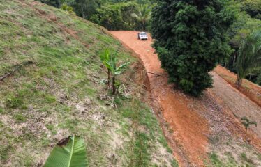 Lote en Trinidad de Pejibaye