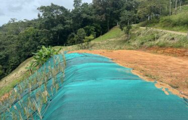 Lote en Trinidad de Pejibaye