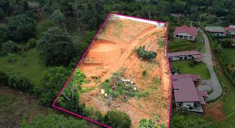 Lotes en Preventa en Verde Horizonte