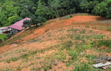 Lotes en Preventa en Verde Horizonte