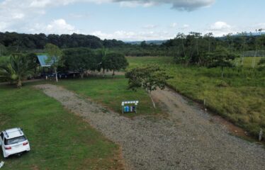 🌿 FINCA LA NUTRIA EN VENTA | 11 HECTÁREAS PRODUCTIVAS EN BUENOS AIRES, PUNTARENAS