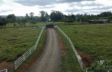 🌿 FINCA LA NUTRIA EN VENTA | 11 HECTÁREAS PRODUCTIVAS EN BUENOS AIRES, PUNTARENAS