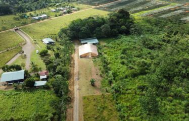 🌿 FINCA LA NUTRIA EN VENTA | 11 HECTÁREAS PRODUCTIVAS EN BUENOS AIRES, PUNTARENAS
